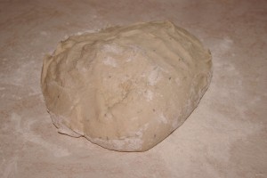IMGP5117
