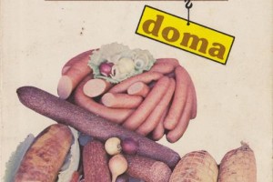varime a udime doma